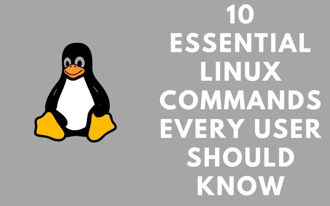 10 Essential Linux Commands Every User Should Know