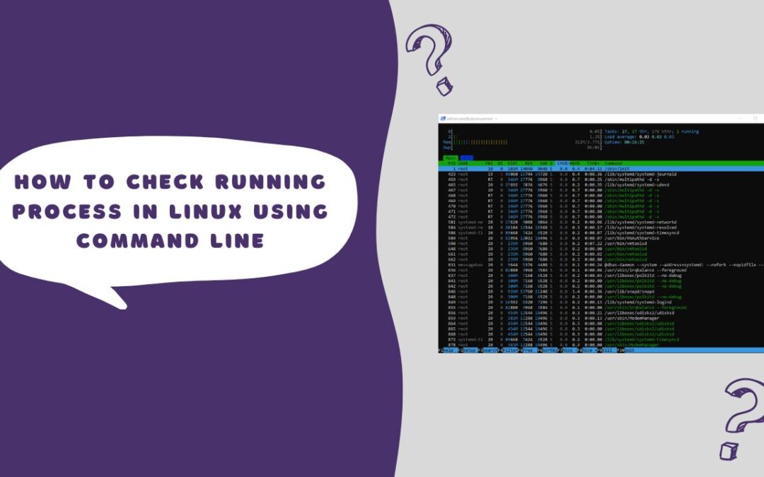 How to check running process in Linux using command line